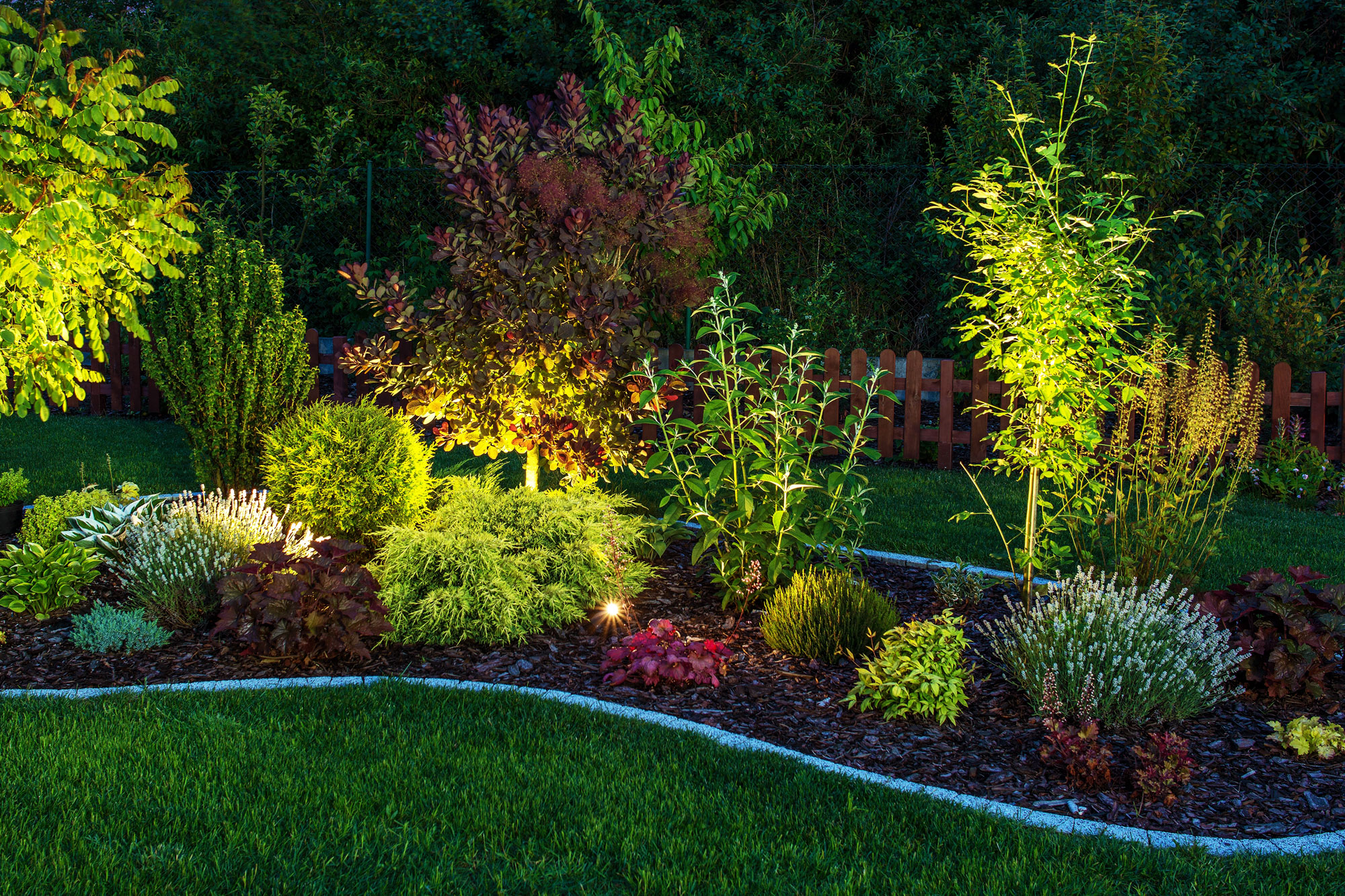 Accent Lighting